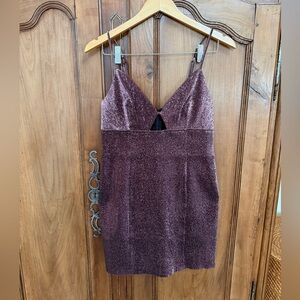 H&M Sparkle Plum Bodycon Dress